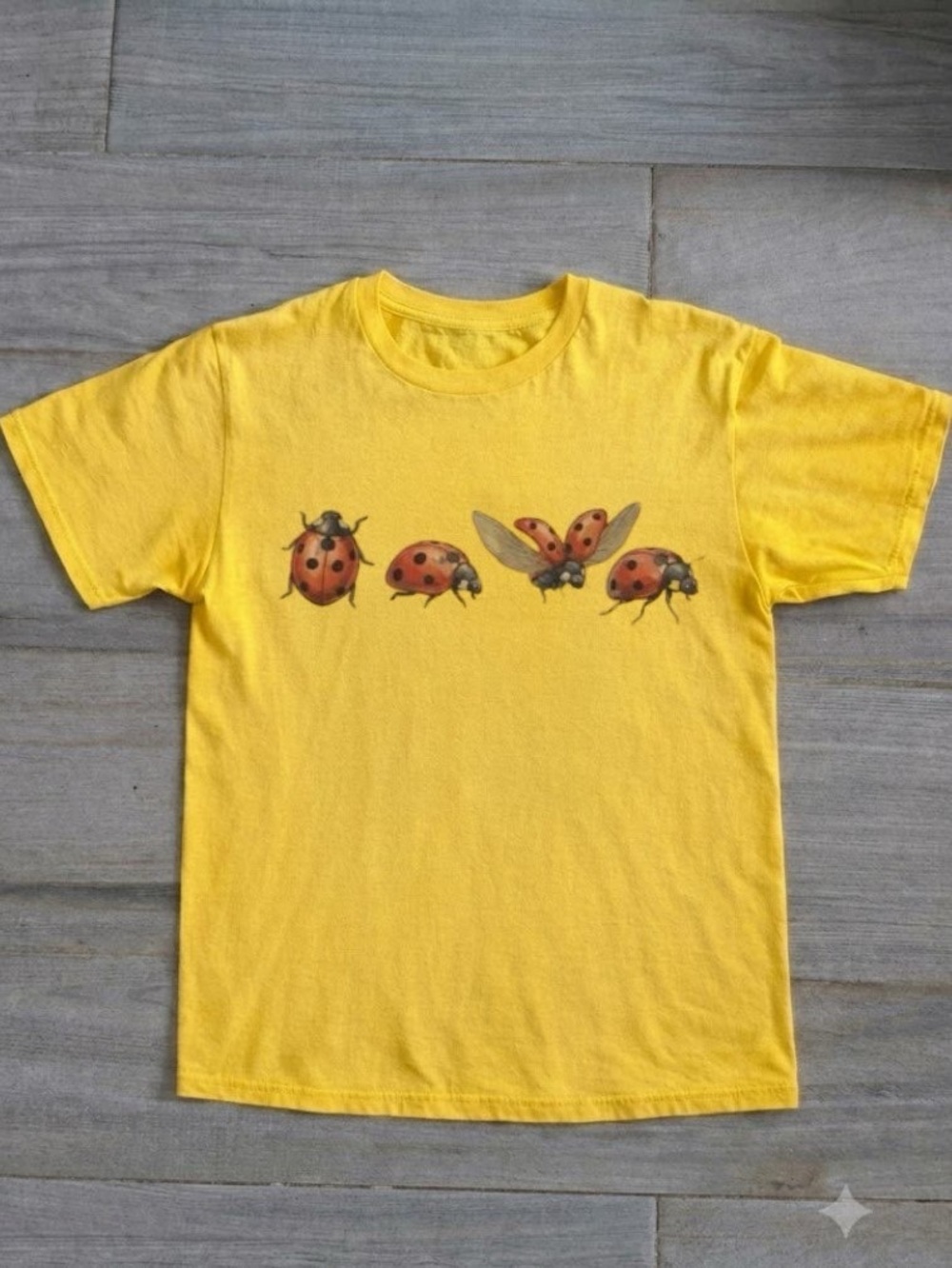 Ladybug Graphic tee, Noah fan shirt, music concert